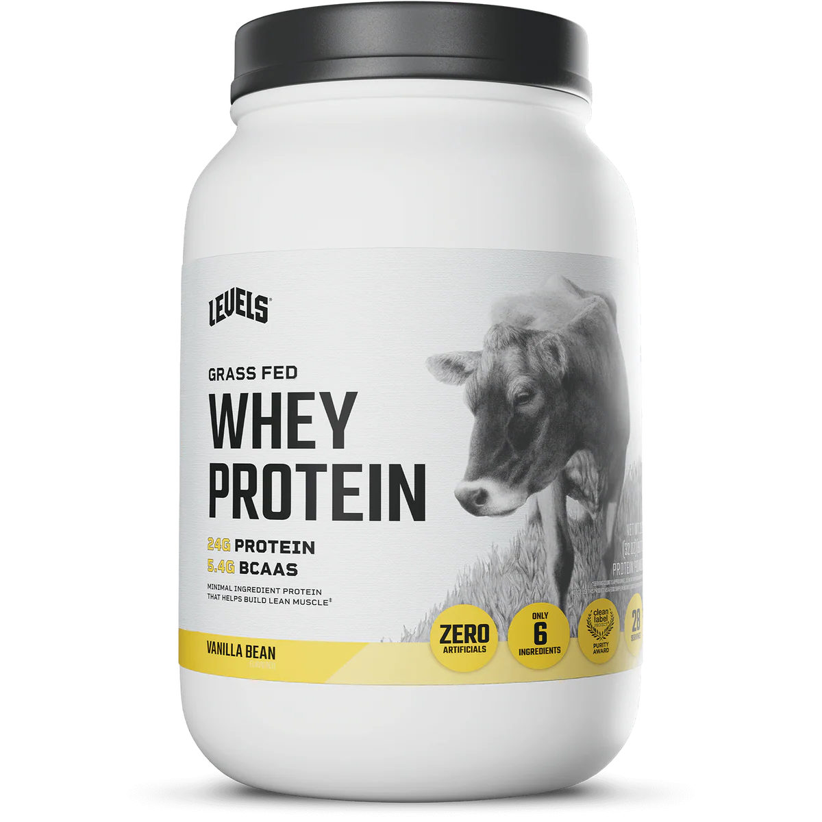 WHEY PROTEIN