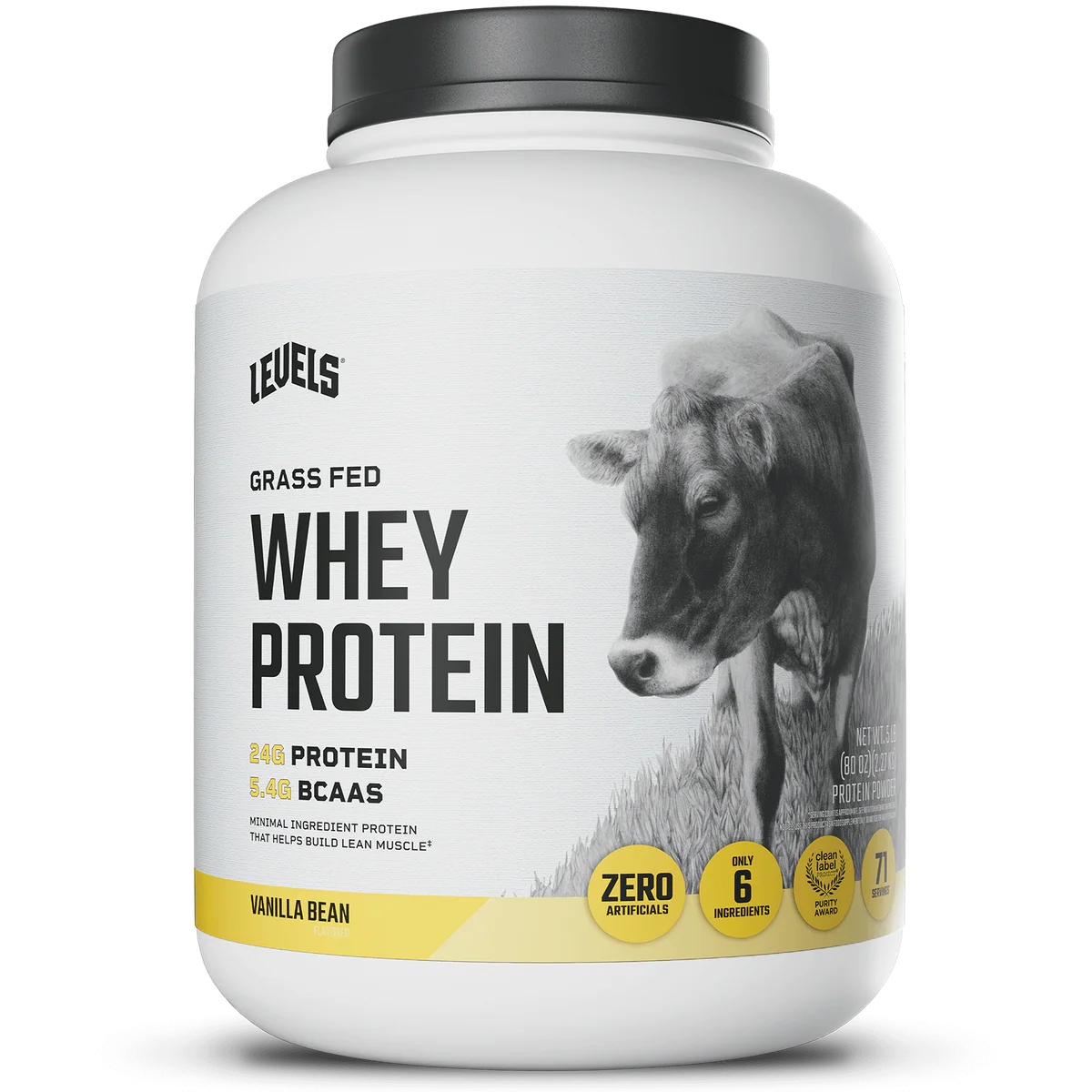 WHEY PROTEIN