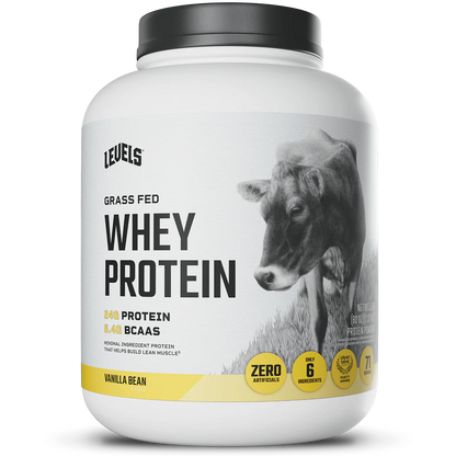 WHEY PROTEIN