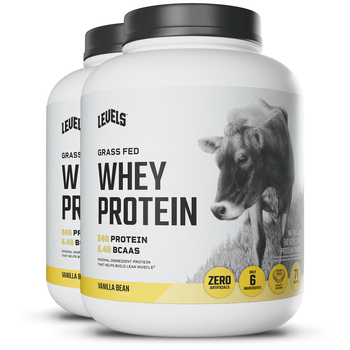 WHEY PROTEIN
