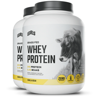 WHEY PROTEIN