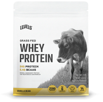 WHEY PROTEIN