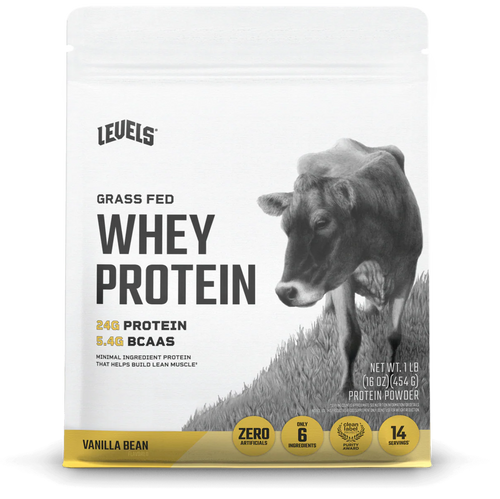 WHEY PROTEIN