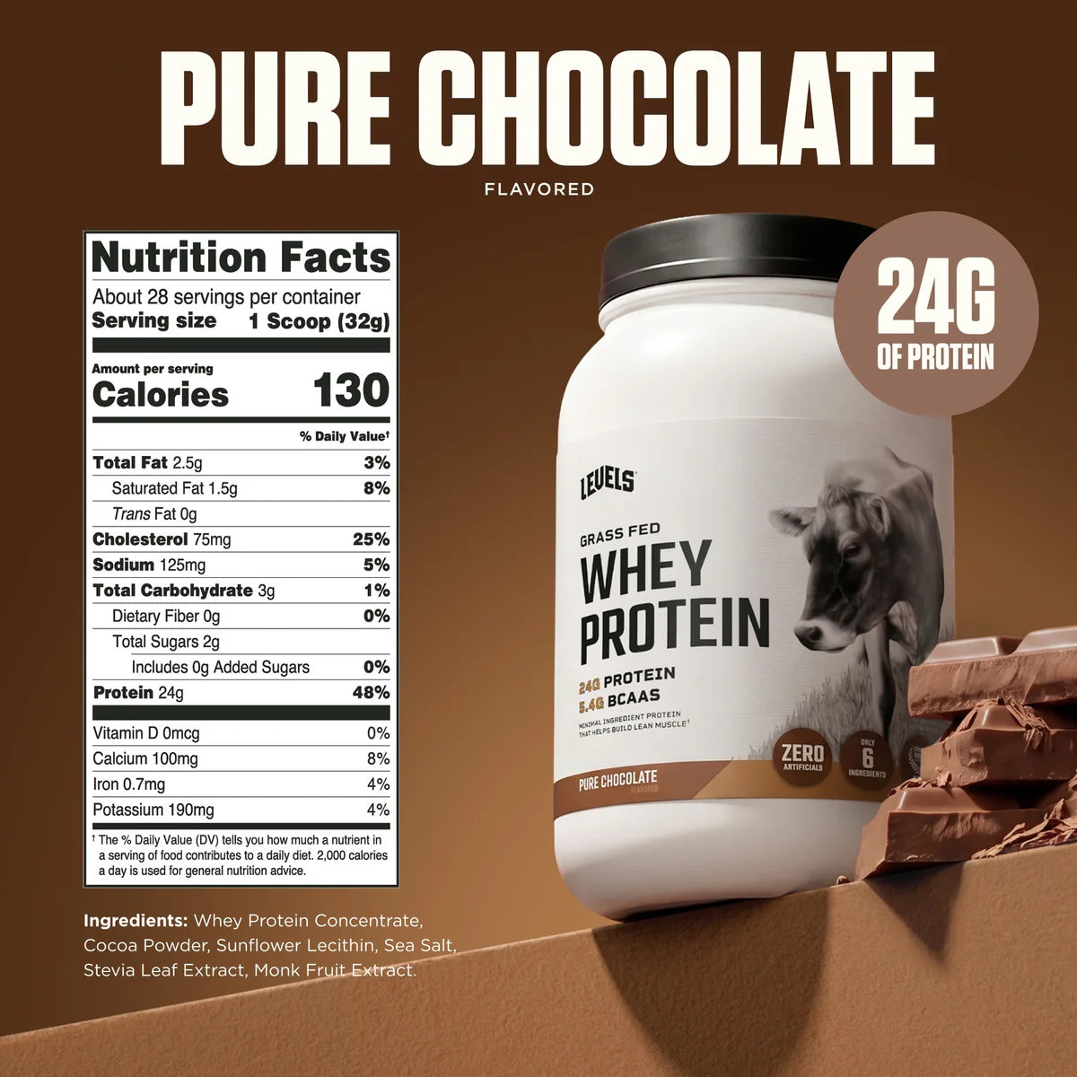 WHEY PROTEIN