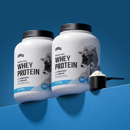 WHEY PROTEIN