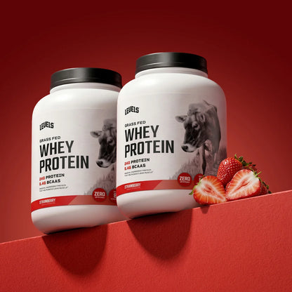 WHEY PROTEIN