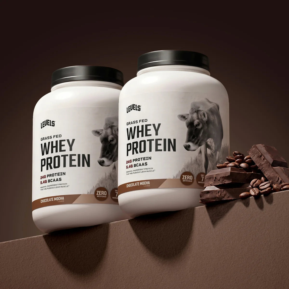 WHEY PROTEIN