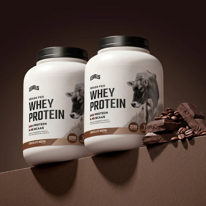 WHEY PROTEIN