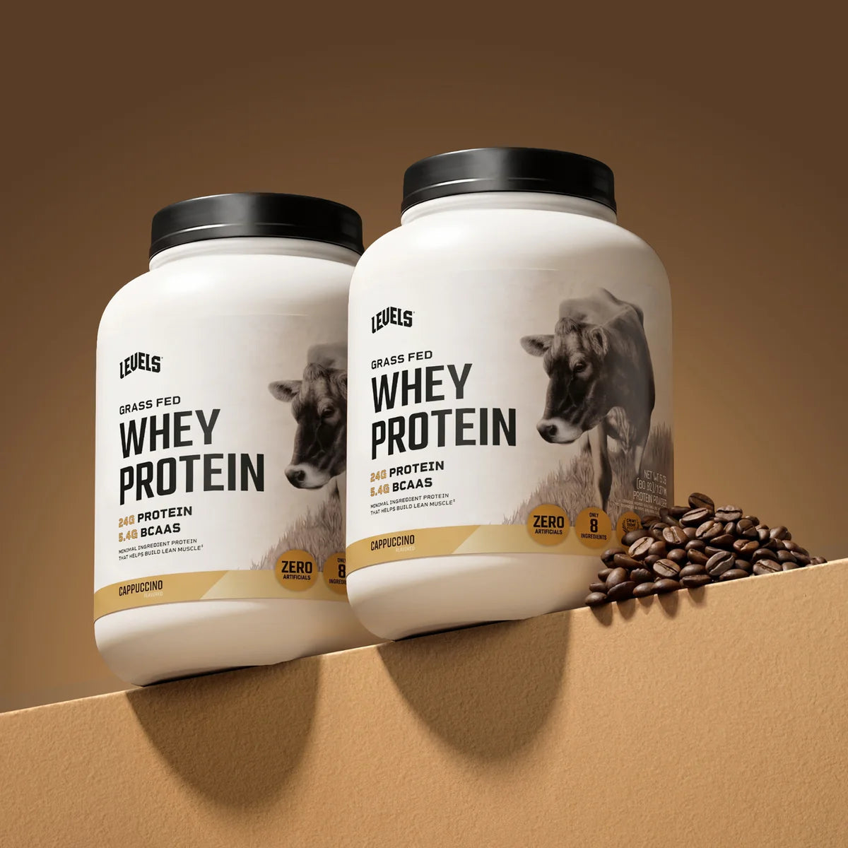 WHEY PROTEIN