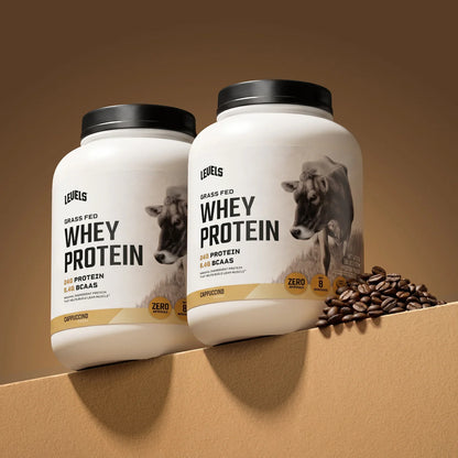 WHEY PROTEIN