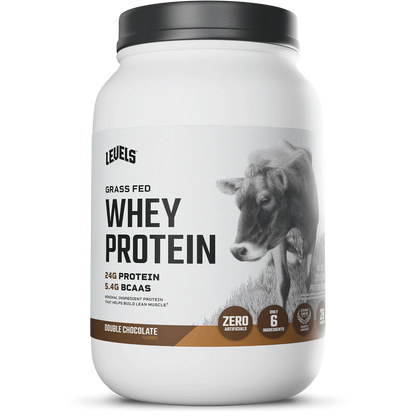 WHEY PROTEIN