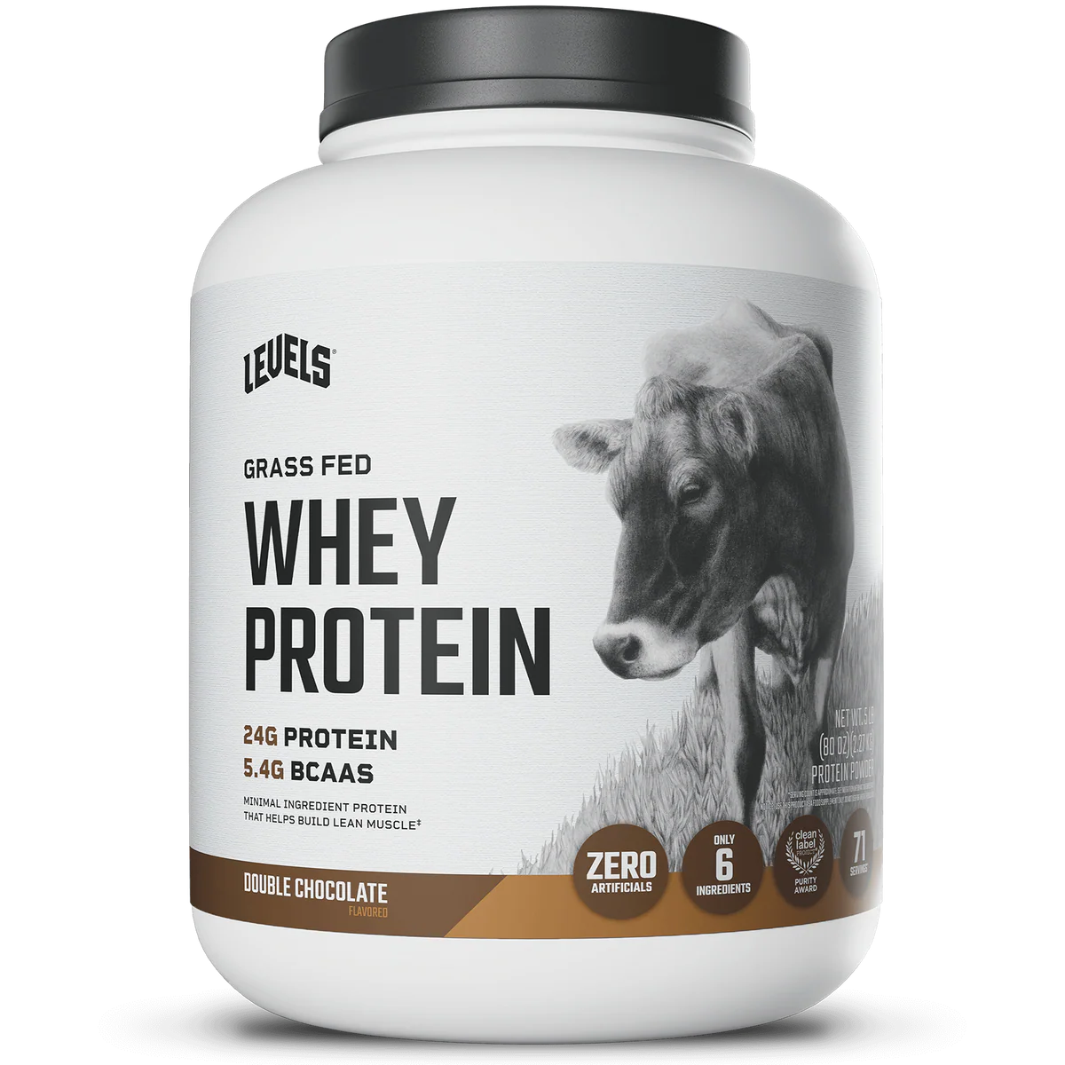 WHEY PROTEIN
