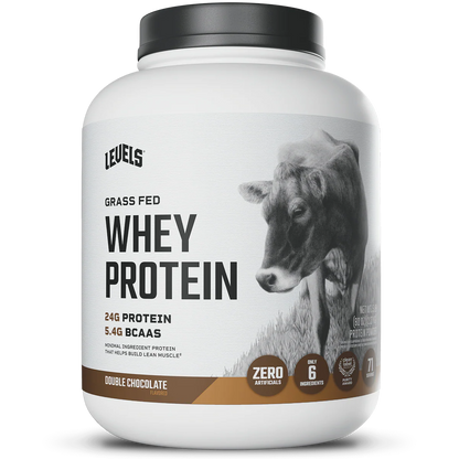 WHEY PROTEIN