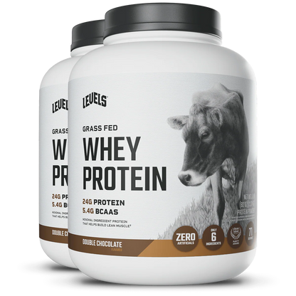 WHEY PROTEIN