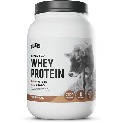 WHEY PROTEIN