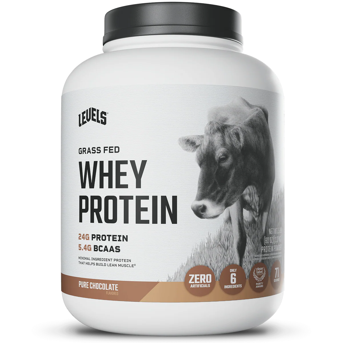 WHEY PROTEIN