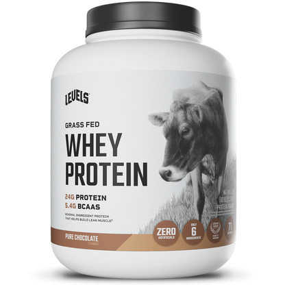 WHEY PROTEIN