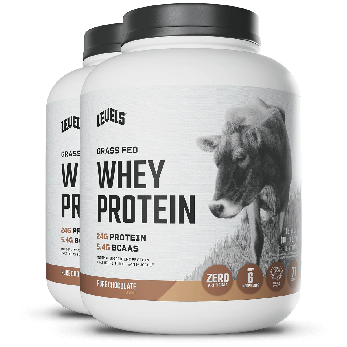 WHEY PROTEIN