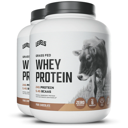 WHEY PROTEIN