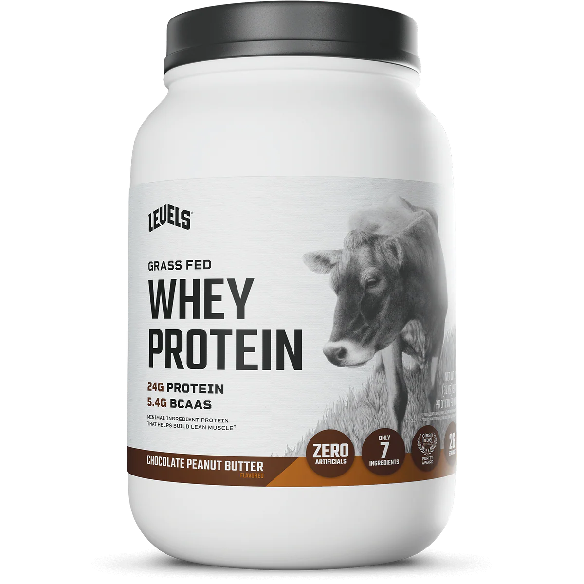 WHEY PROTEIN