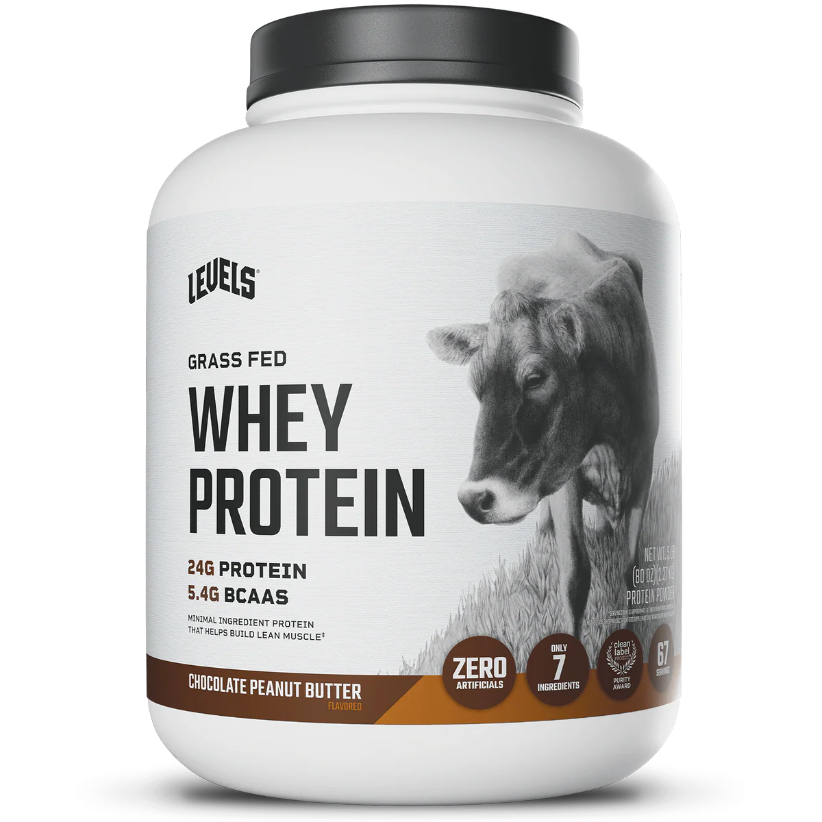 WHEY PROTEIN