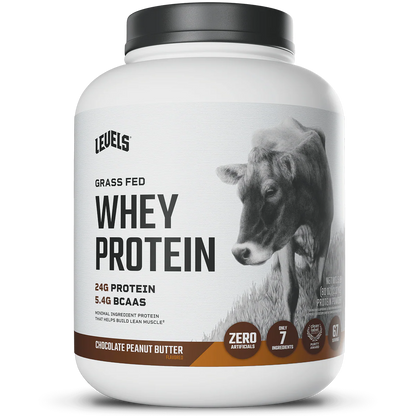 WHEY PROTEIN