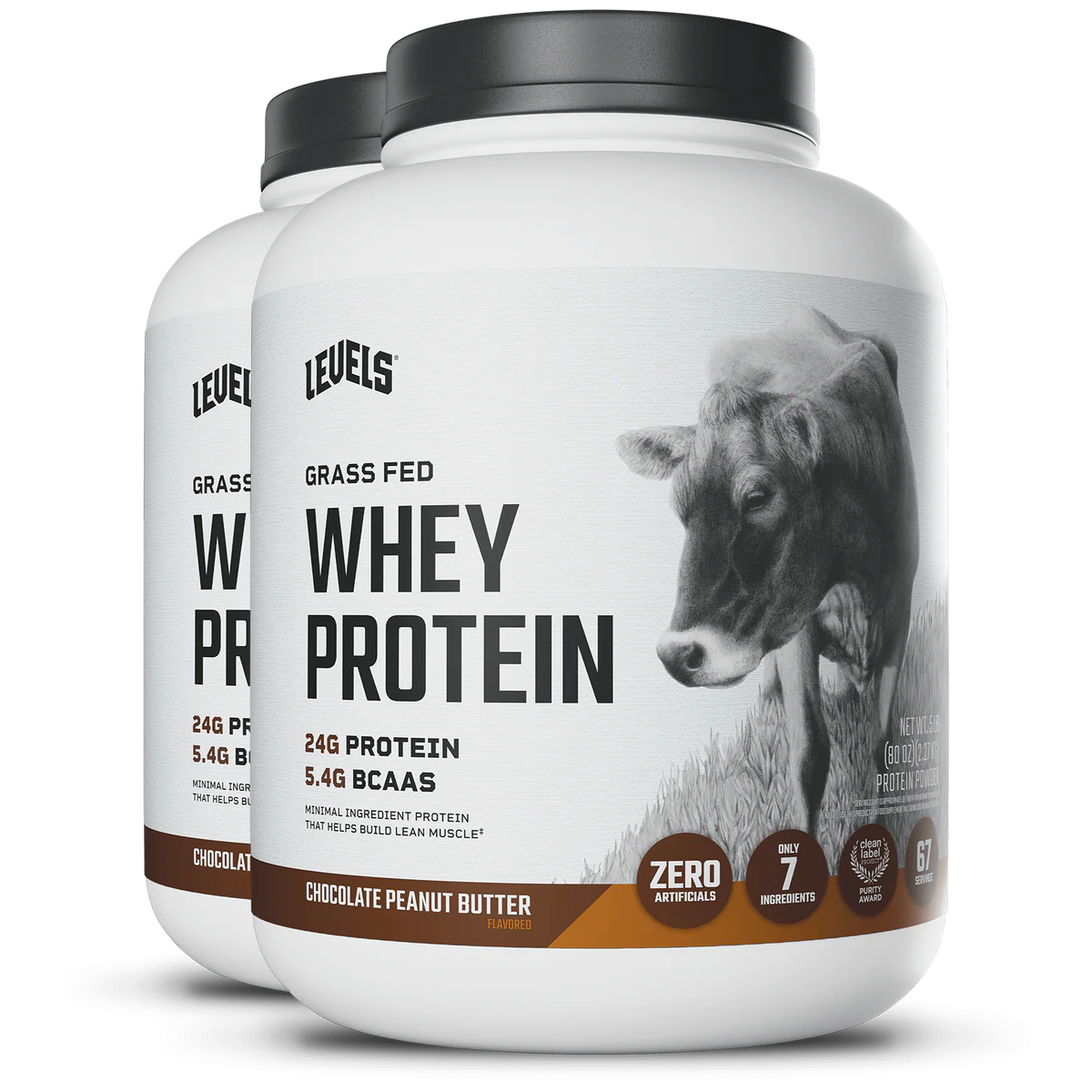 WHEY PROTEIN