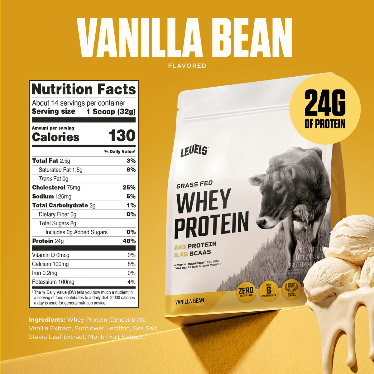 WHEY PROTEIN