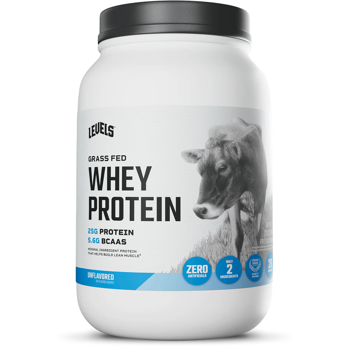 WHEY PROTEIN