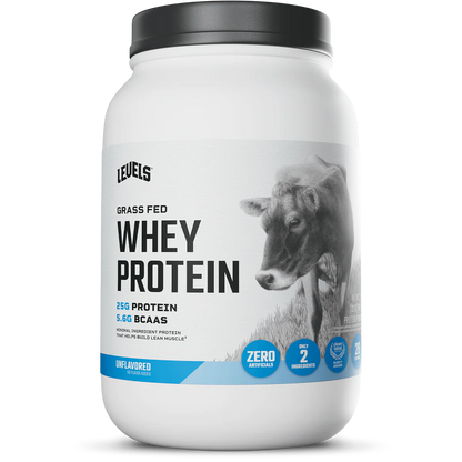 WHEY PROTEIN