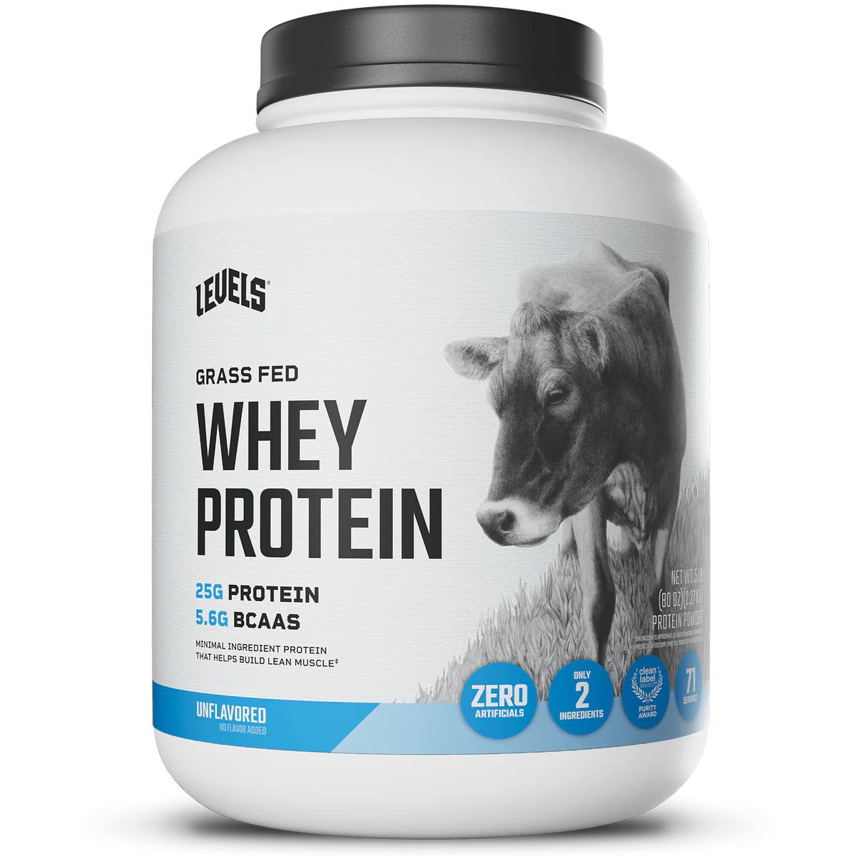 WHEY PROTEIN