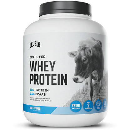 WHEY PROTEIN