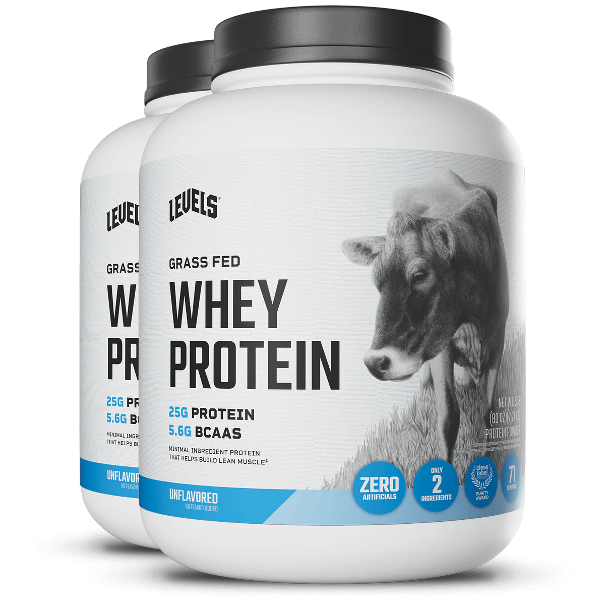 WHEY PROTEIN
