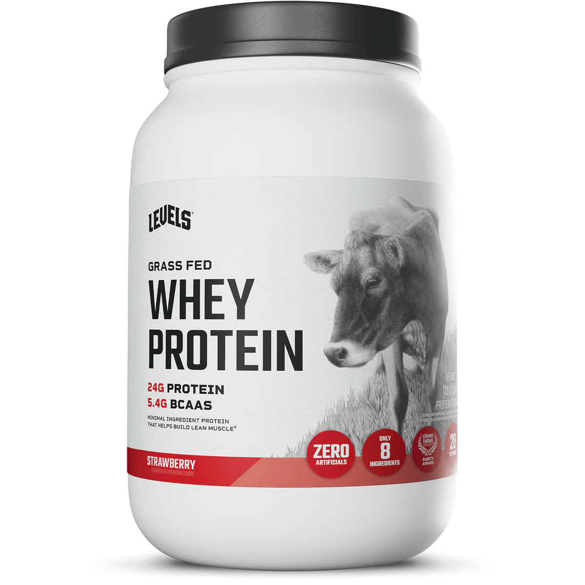 WHEY PROTEIN