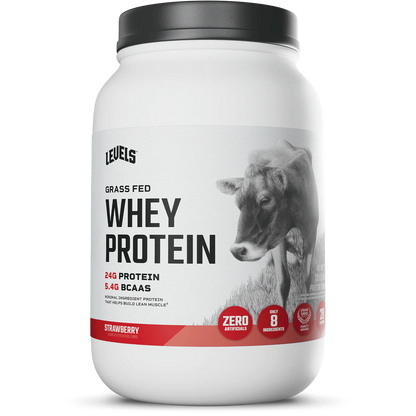 WHEY PROTEIN