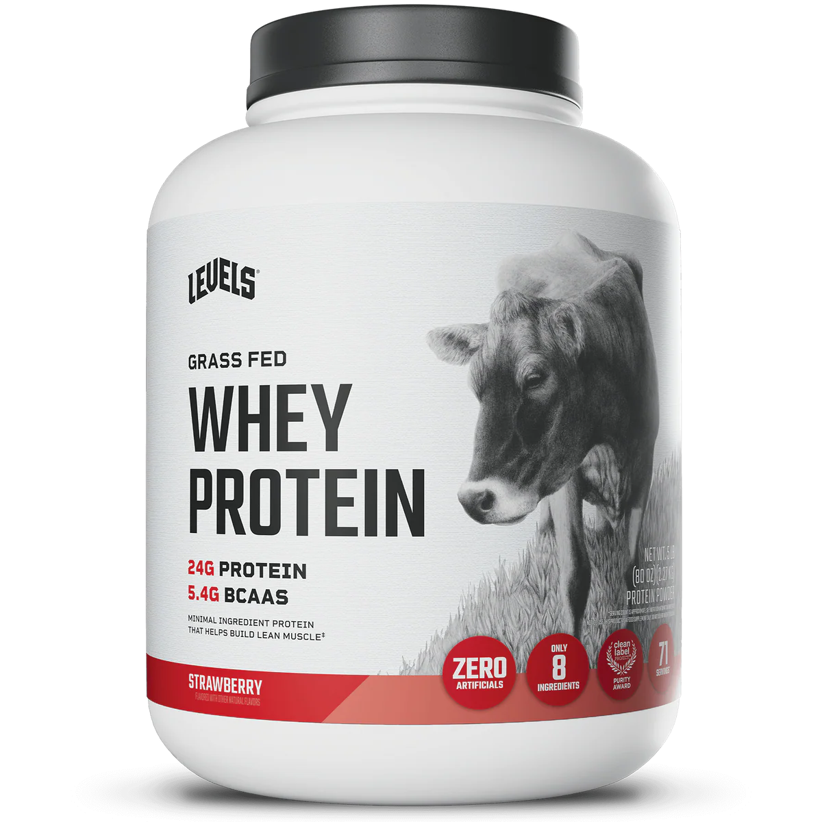 WHEY PROTEIN