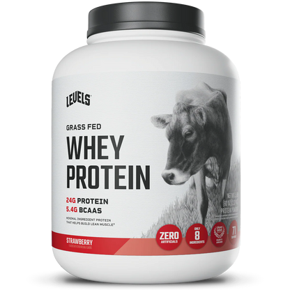 WHEY PROTEIN