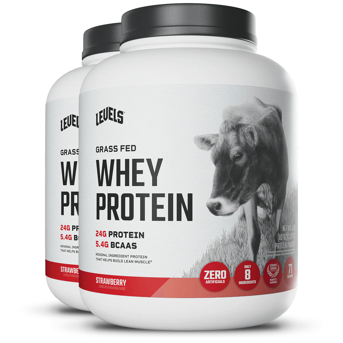 WHEY PROTEIN