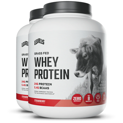 WHEY PROTEIN