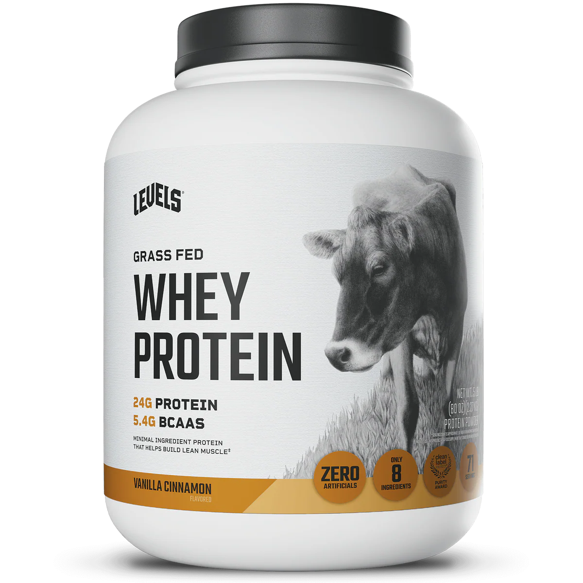 WHEY PROTEIN