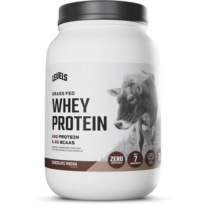 WHEY PROTEIN