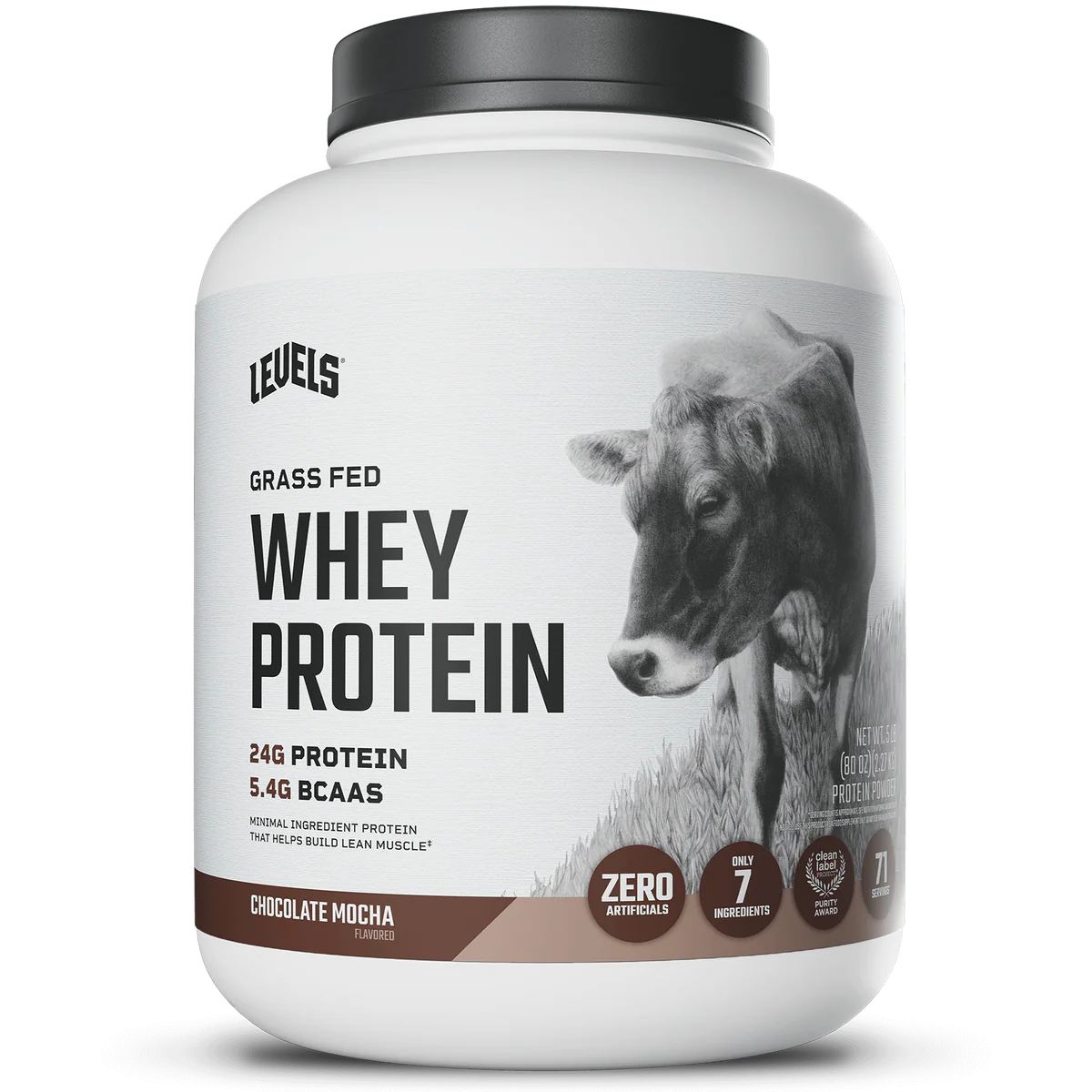 WHEY PROTEIN