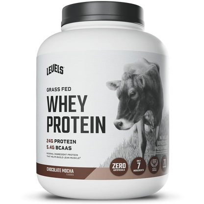 WHEY PROTEIN