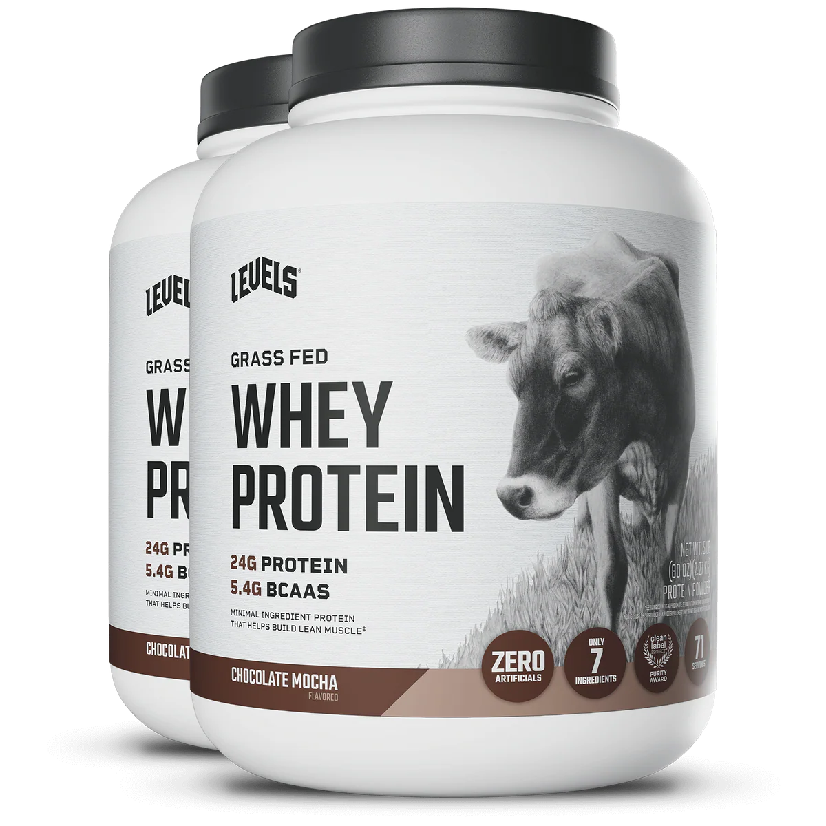 WHEY PROTEIN