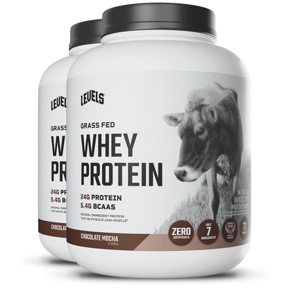 WHEY PROTEIN