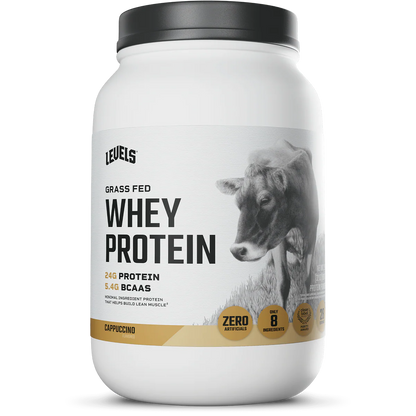 WHEY PROTEIN