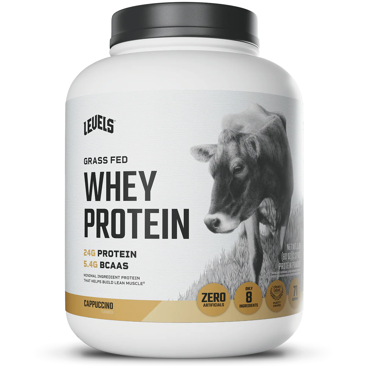 WHEY PROTEIN