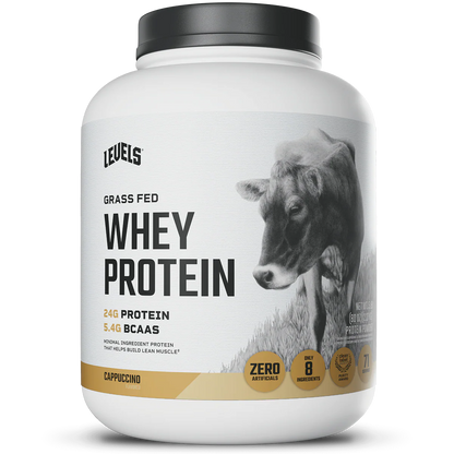 WHEY PROTEIN