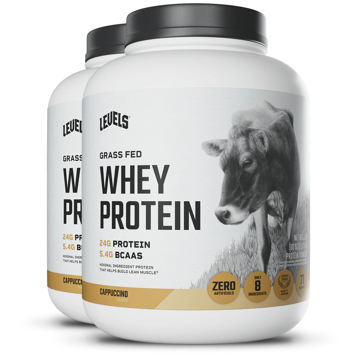 WHEY PROTEIN