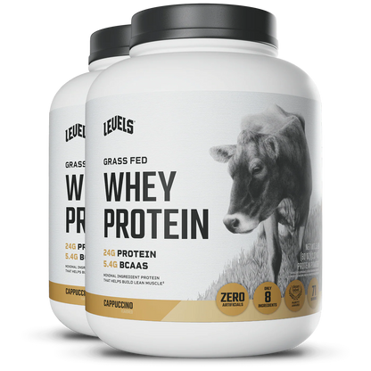 WHEY PROTEIN